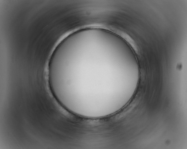X0000103321428200809050949