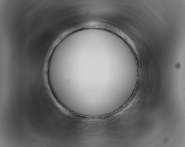 X0000103321429200809050949