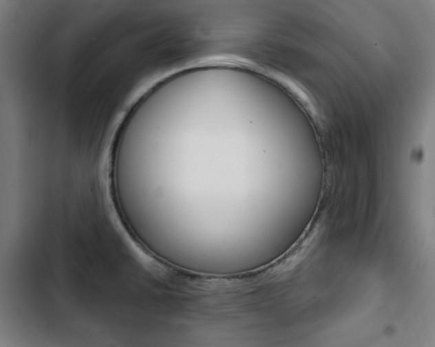 X0000103321430200809050949