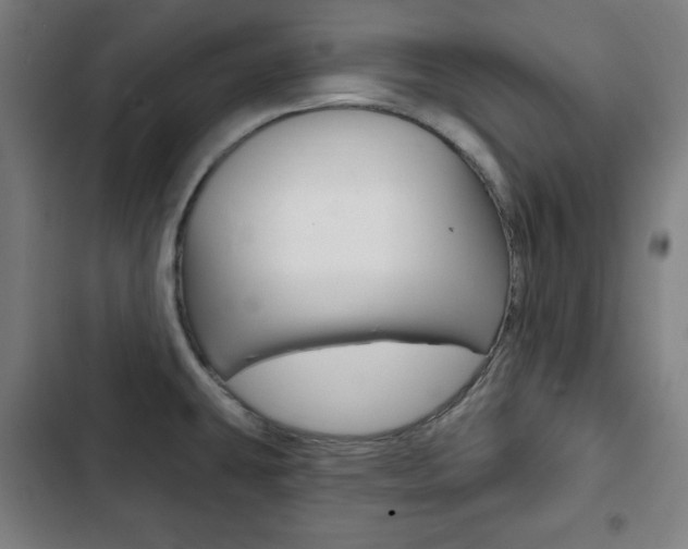 X0000103321431200809050949