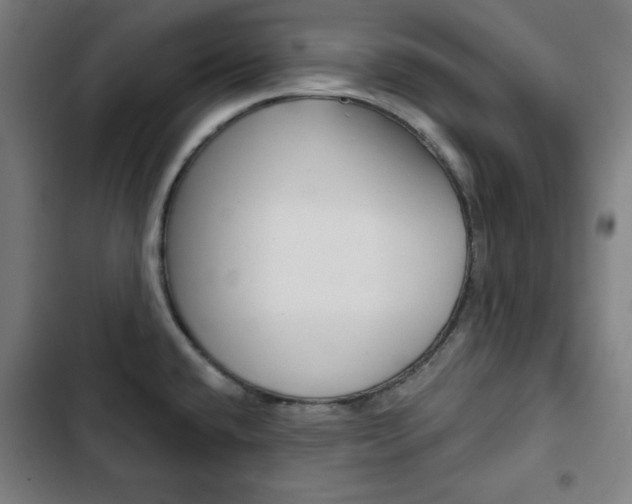 X0000103321432200809050949