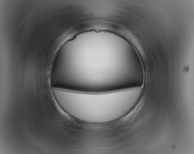 X0000103321433200809050949