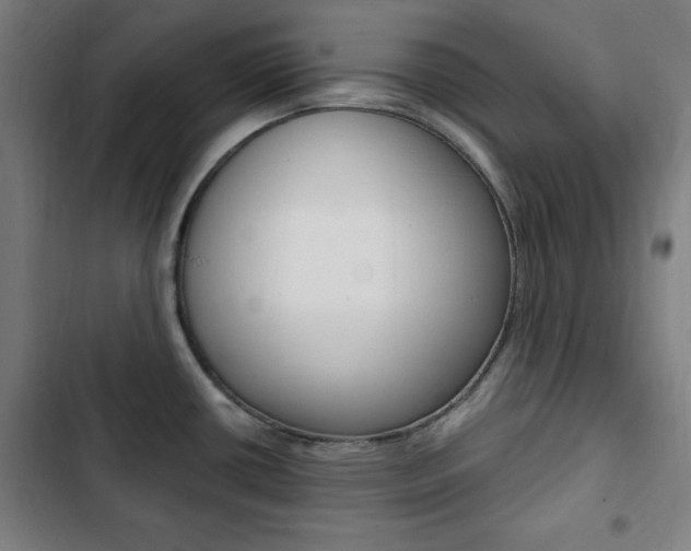X0000103321434200809050949