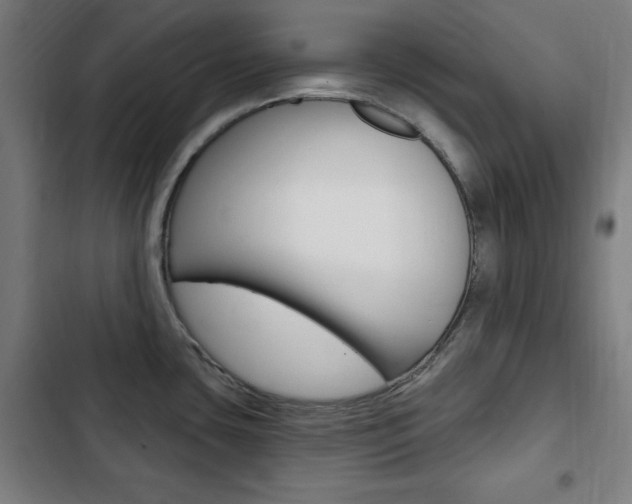 X0000103321435200809050949