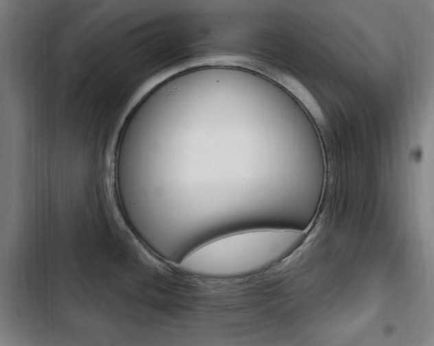X0000103321436200809050949