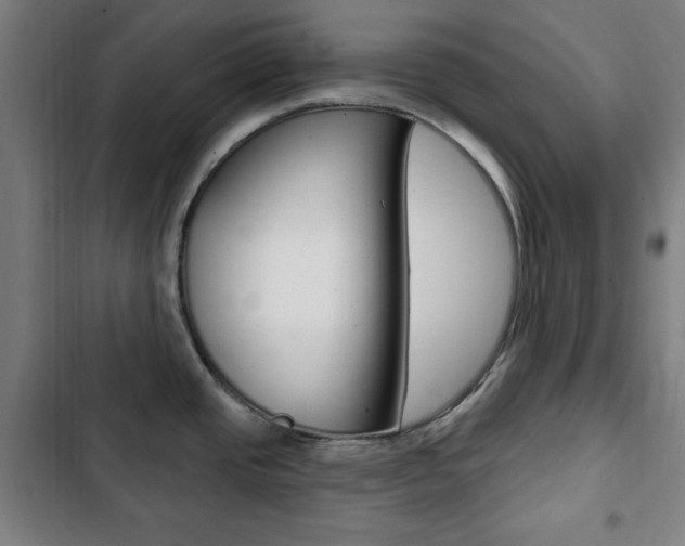 X0000103321437200809050949