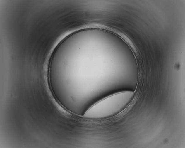 X0000103321438200809050949