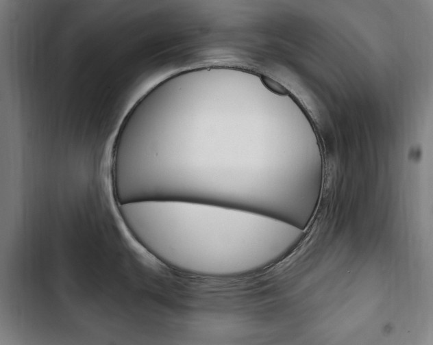 X0000103321439200809050949