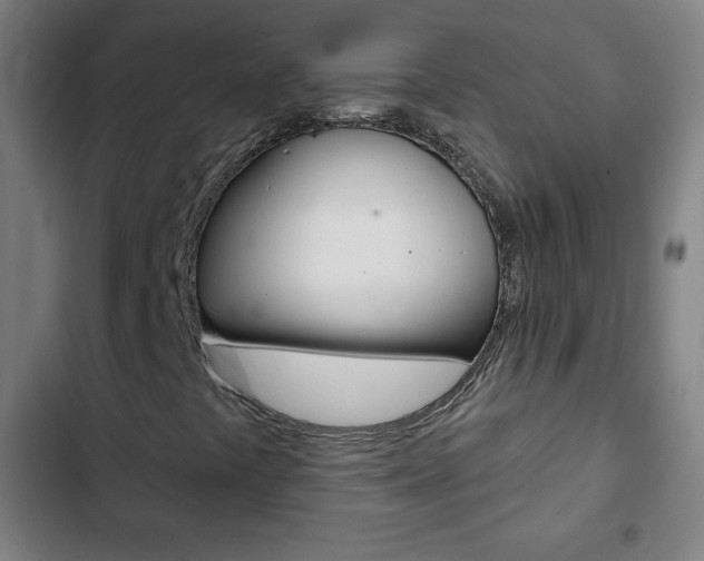 X0000103321441200809050948