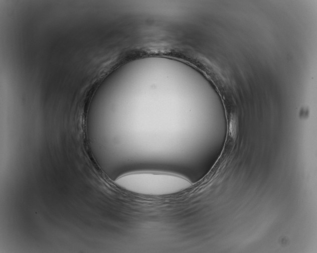 X0000103321444200809050948