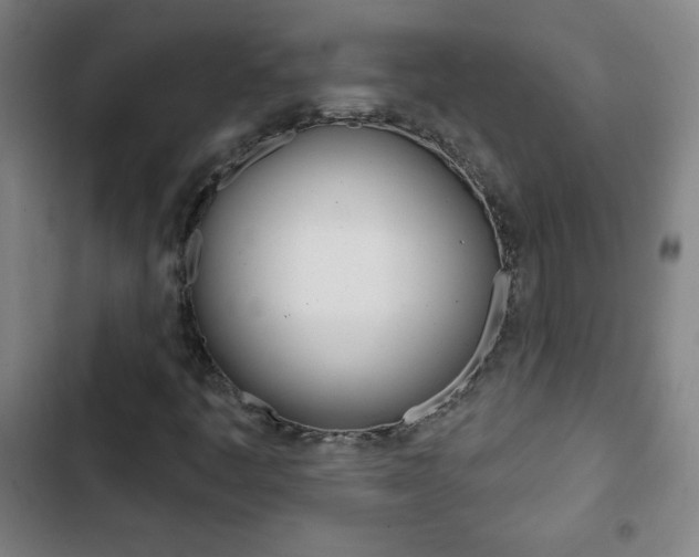 X0000103321445200809050948