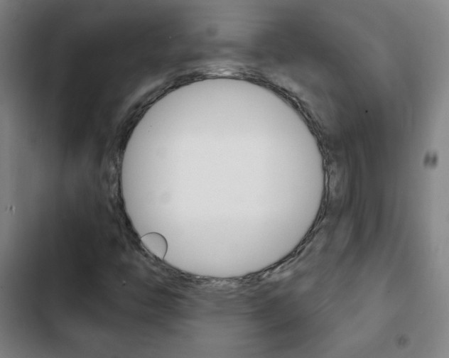 X0000103321446200809050948