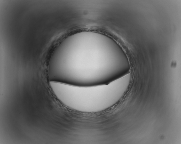 X0000103321447200809050948