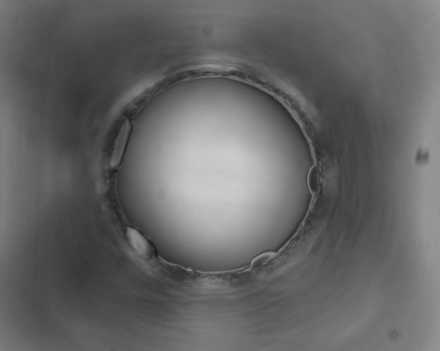 X0000103321448200809050948