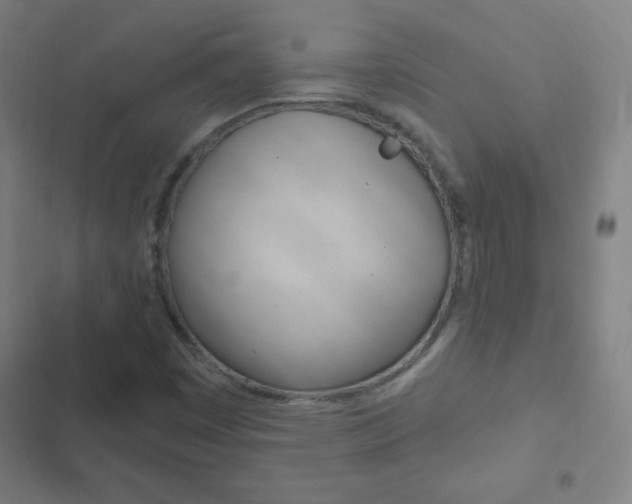 X0000103321449200809050948