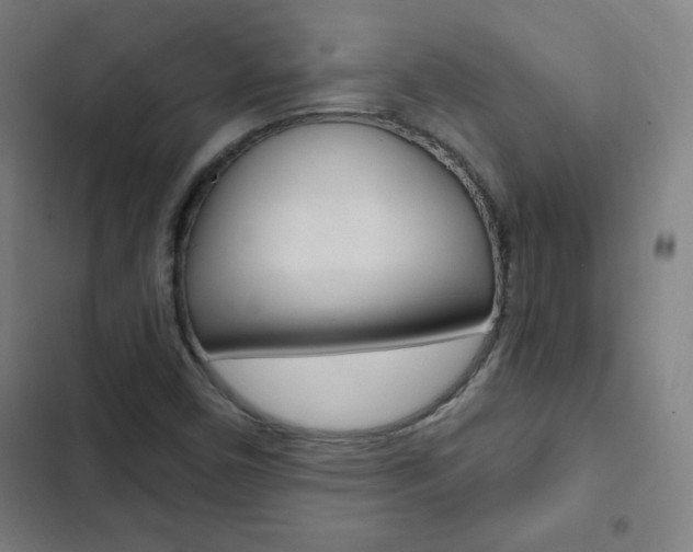 X0000103321450200809050948