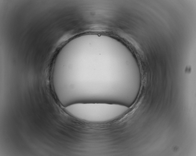 X0000103321451200809050948