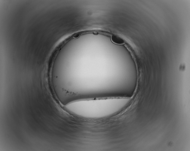 X0000103321452200809050948