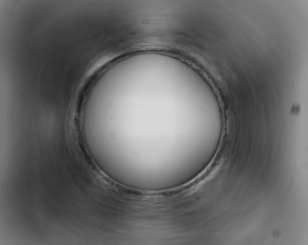 X0000103321453200809050948