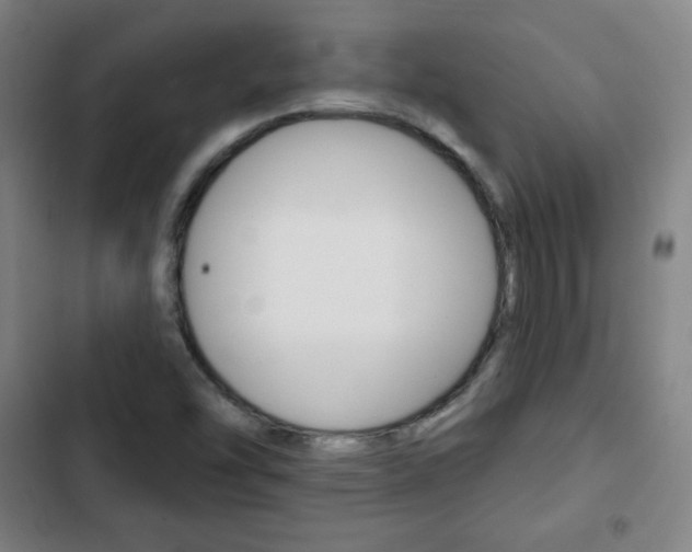 X0000103321454200809050948