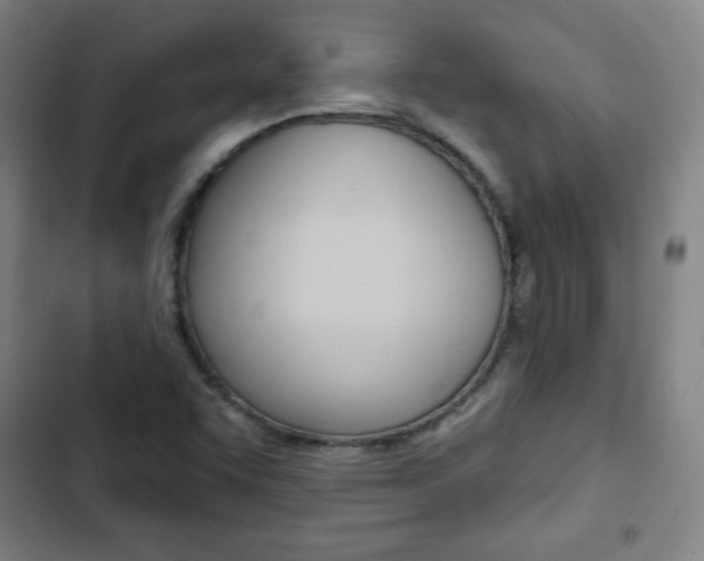 X0000103321455200809050948