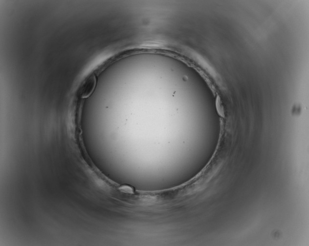 X0000103321456200809050948