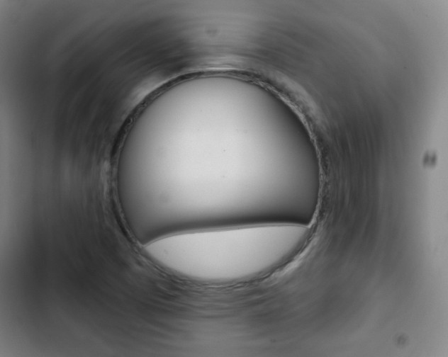 X0000103321457200809050948