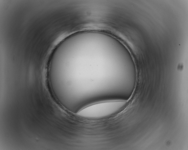 X0000103321459200809050948