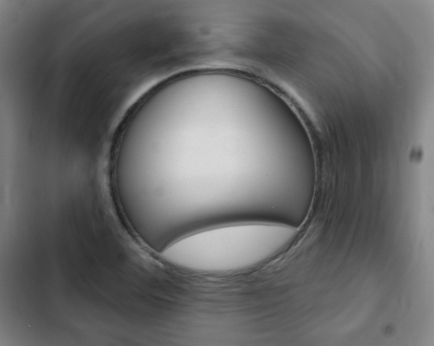 X0000103321460200809050948