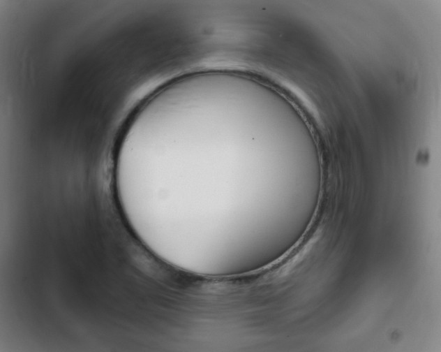 X0000103321461200809050948