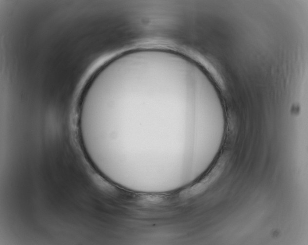 X0000103321462200809050948