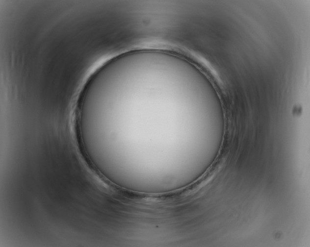 X0000103321463200809050948