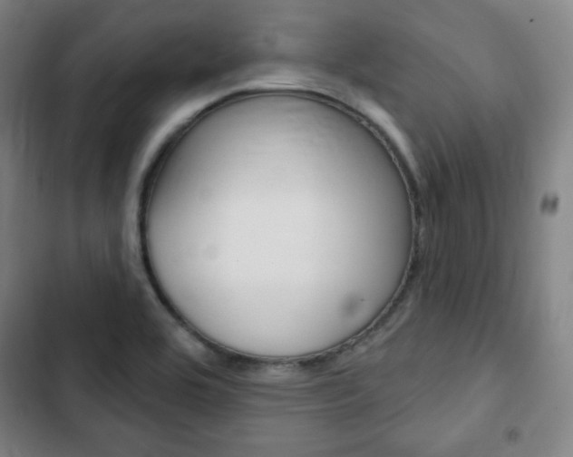 X0000103321464200809050948