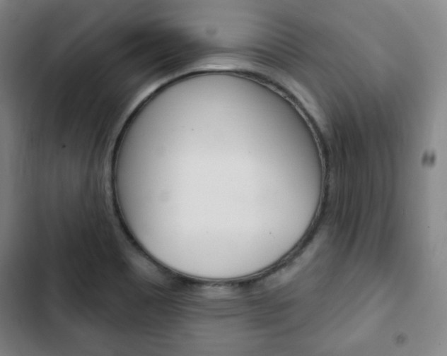 X0000103321465200809050948