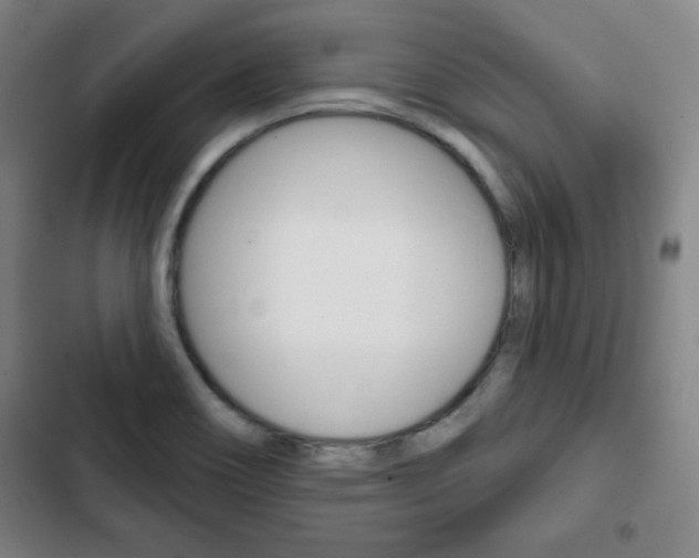 X0000103321466200809050948