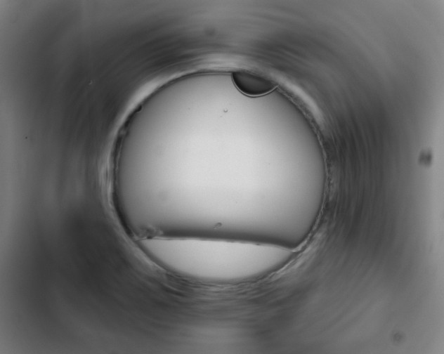X0000103321467200809050948