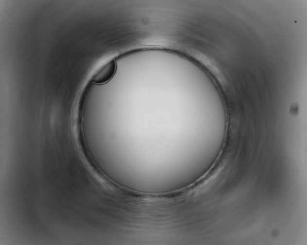 X0000103321469200809050948