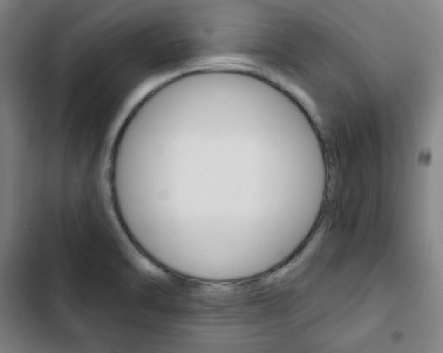 X0000103321470200809050948