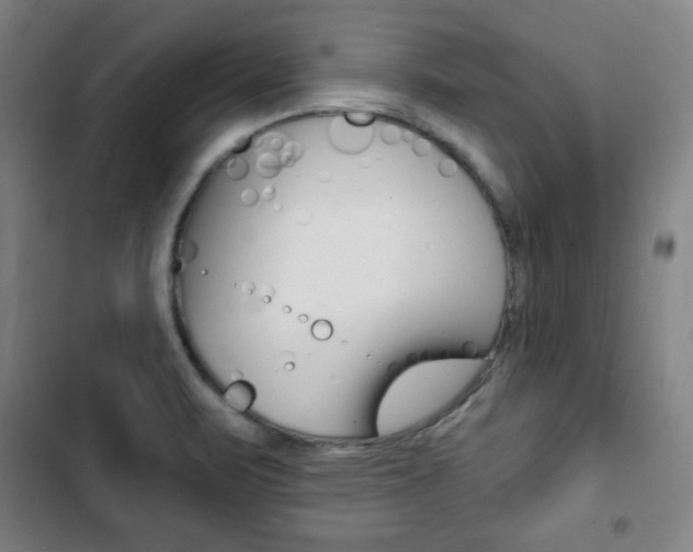 X0000103321471200809050948