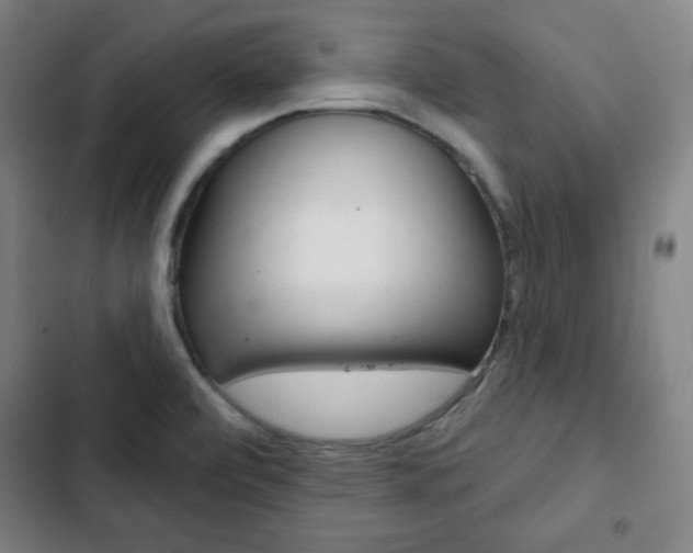 X0000103321472200809050948