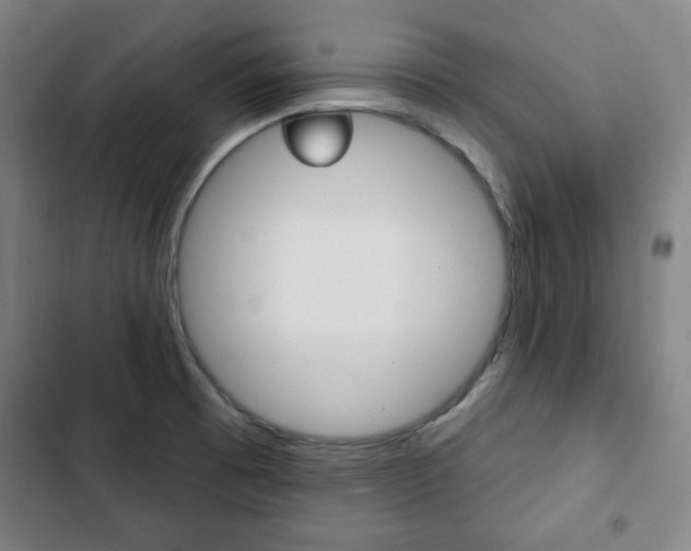 X0000103321473200809050948
