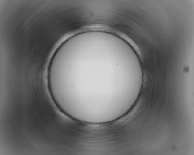 X0000103321474200809050948