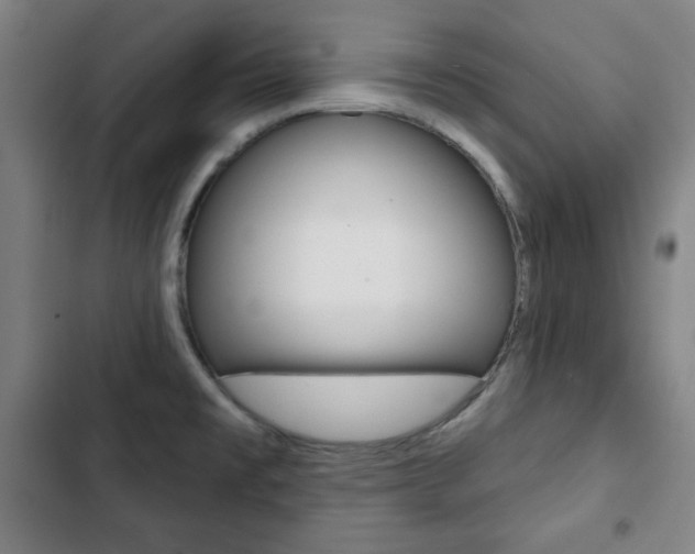 X0000103321477200809050948