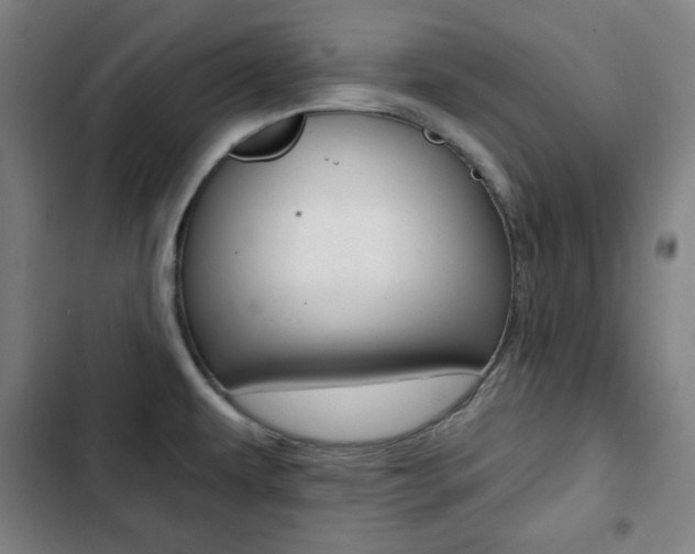 X0000103321479200809050948