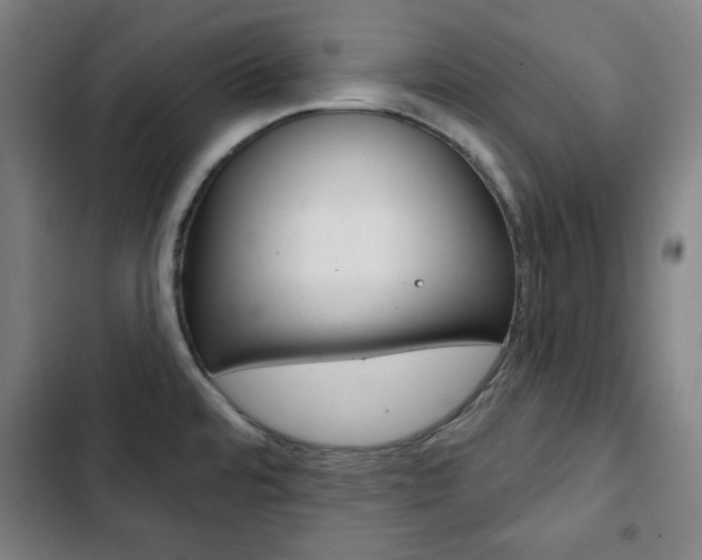 X0000103321480200809050948