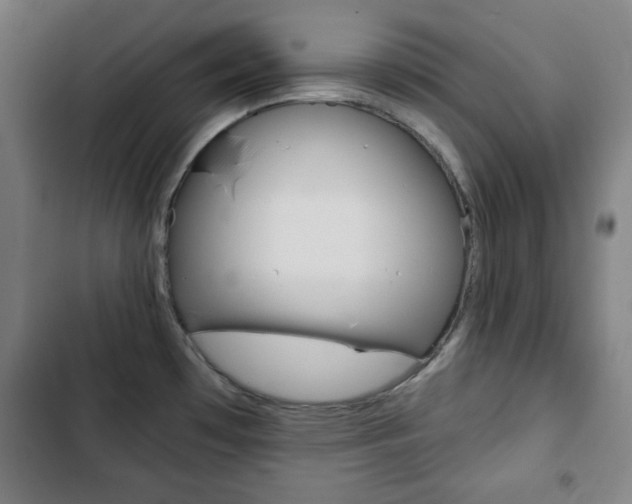 X0000103321481200809050948