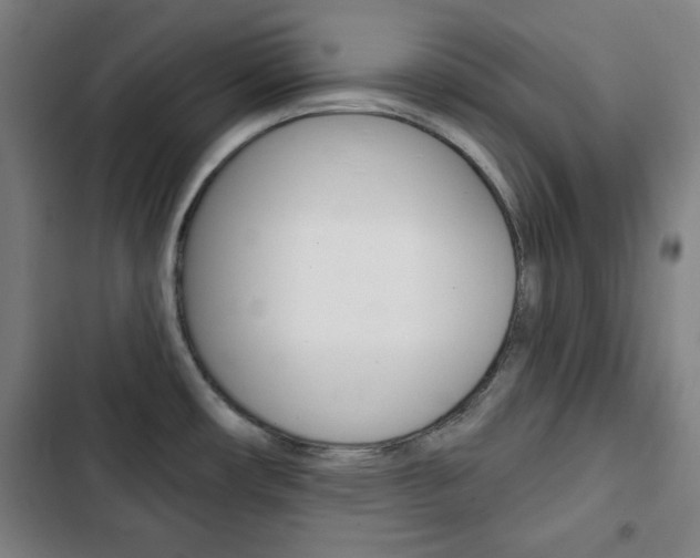X0000103321482200809050948