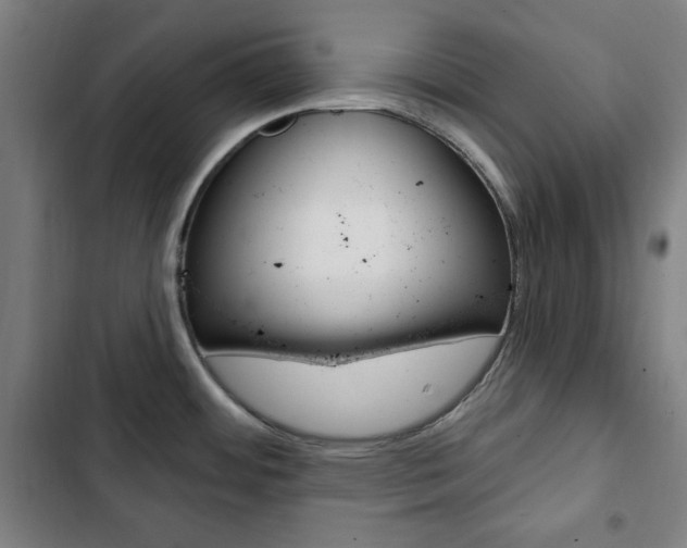 X0000103321484200809050948