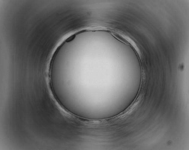 X0000103321485200809050948