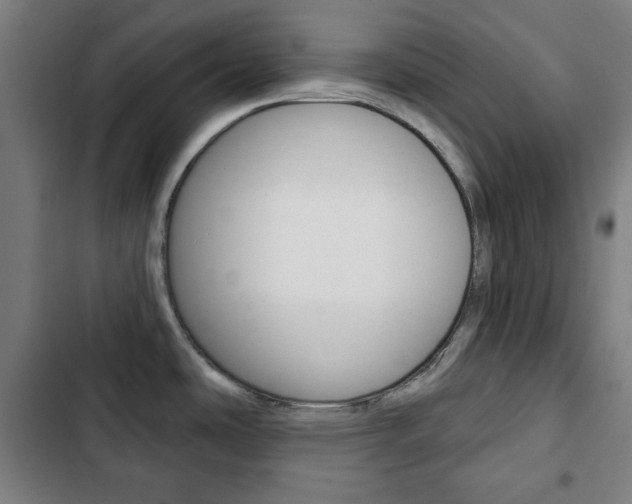 X0000103321486200809050948